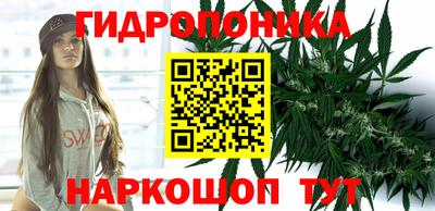 дурь Пугачёв