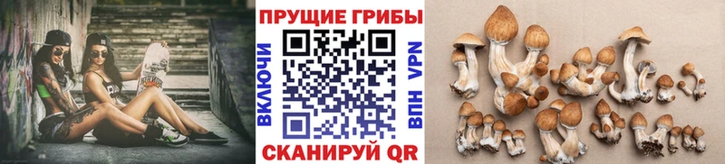 даркнет официальный сайт  kraken сайт  Узловая  хочу   Галлюциногенные грибы мухоморы 